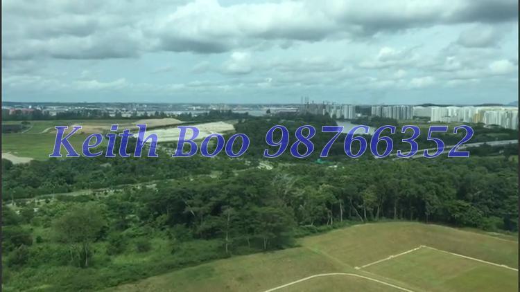 Fernvale Link (Sengkang), HDB 2 Rooms #134759472